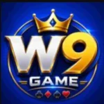 W9 Game Apk